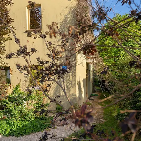 Ruj Lejlighed Zambratija (Istria)