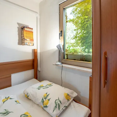 Ruj * Zambratija (Istria)