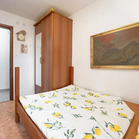Ruj Zambratija (Istria)